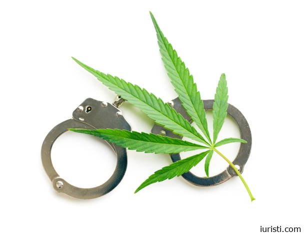 ნარკოტიკული საშუალების უკანონო შეძენა, შენახვის, ნარკოტიკული საშუალების შემცველი მცენარის უკანონო დათესვის და მოყვანის ფაქტებზე პროკურატურამ ორ პირს ბრალდება წარუდგინა