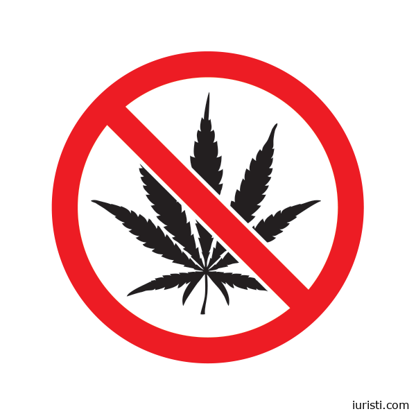 პროკურატურის მიერ წარდგენილი მტკიცებულებების საფუძველზე განსაკუთრებით დიდი ოდენობით ნარკოტიკული საშუალების უკანონო შეძენა, შენახვის და რეალიზაციის მომზადების ფაქტზე ბრალდებულს 14 წლით თავისუფლების აღკვეთა მიესაჯა