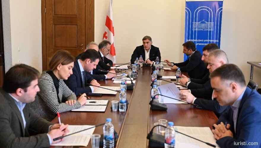 ეკონომიკური პოლიტიკის კომიტეტმა ბიზნესომბუდსმენის აპარატის 2024 წლის საქმიანობის ანგარიში ცნობად მიიღო