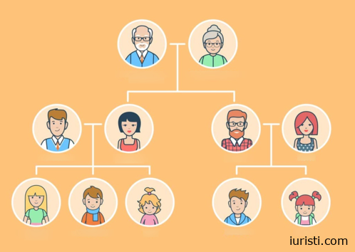 ვინ არიან კანონით პირველი რიგის მემკვიდრეები? -  იურიდიული რჩევები ნათია ნაკაშიძისგან