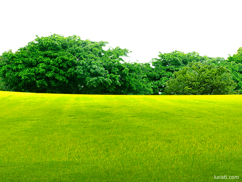 მიწის რეგისტრაცია და საკუთრების აღიარება - ადვოკატი ნათია ნაკაშიძე განმარტავს