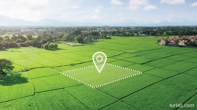 სერვიტუტი - მიწის ნაკვეთის გამოყენების უფლება და სამართლებრივი წესები | ნათია ნაკაშიძე, ადვოკატი