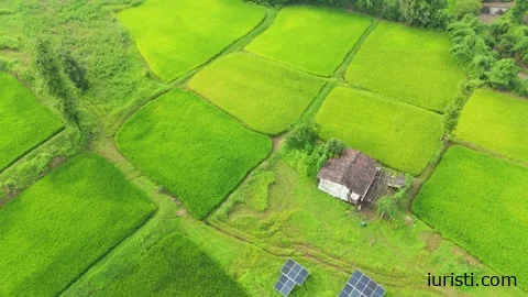 მიწის დაკანონება დოკუმენტების გარეშე -  როგორ შეძლებთ მშობლების  მიწის რეგისტრაციას საქართველოში