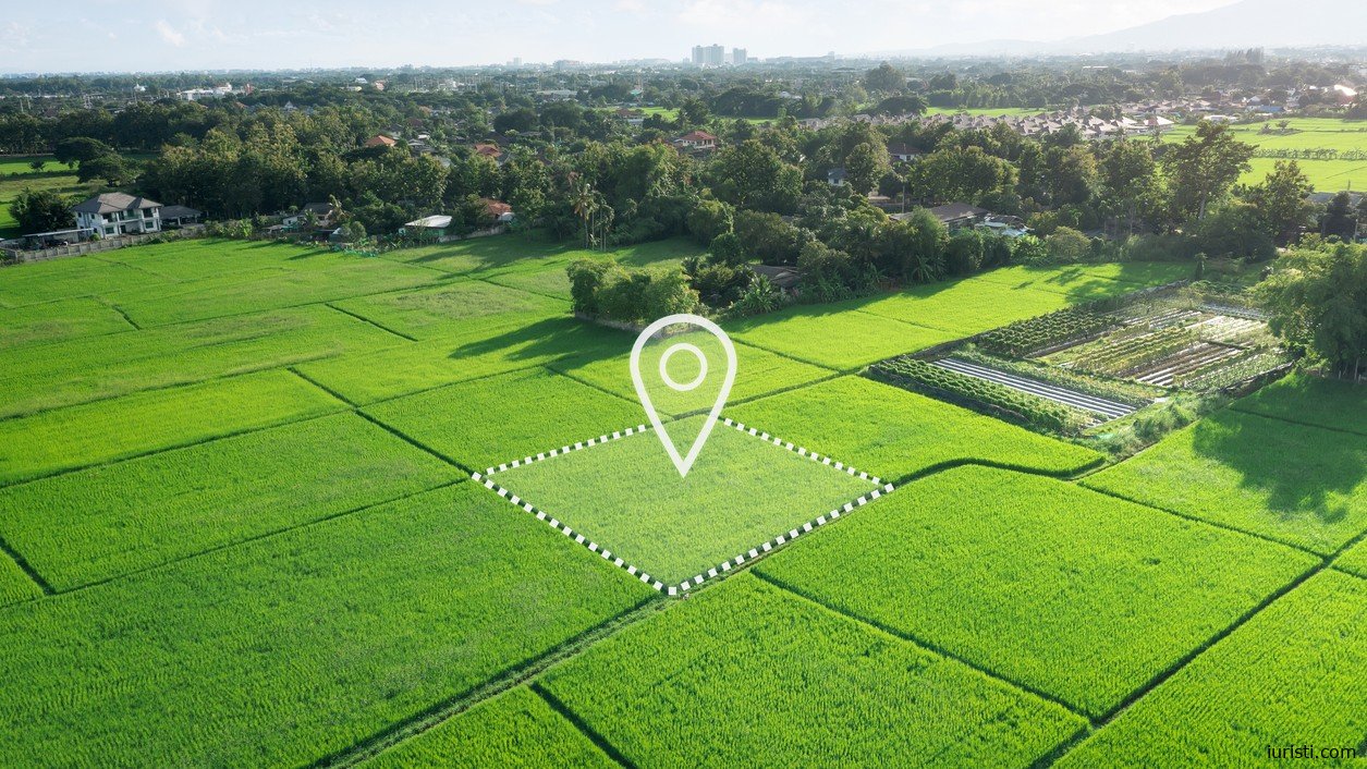 როგორ აღვადგინოთ კომუნისტურ პერიოდში გაცემული მიწის ნაკვეთის დოკუმენტები: მებაღეობის მოწმობის მოძიების სამართლებრივი გზები