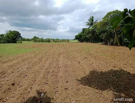 „მიწის ნაკვეთი გაქვთ? ქონების გადასახადი სავალდებულოა“ – სამართლებრივი ანალიზი და პასუხისმგებლობა გადაუხდელობის შემთხვევაში